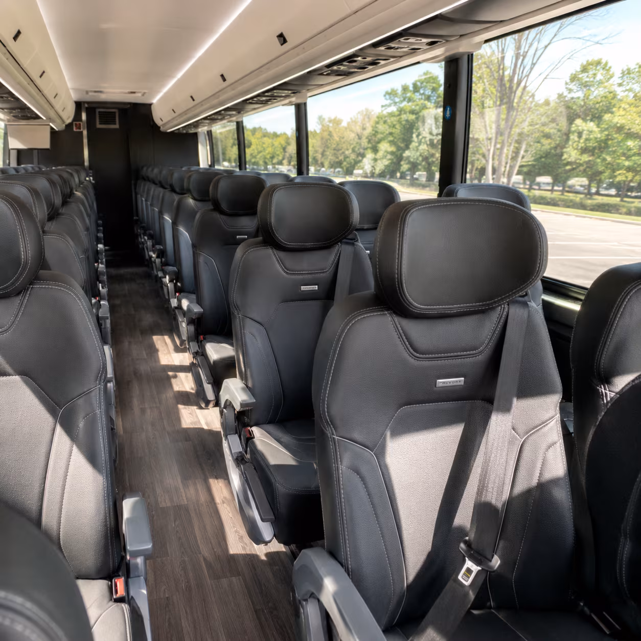 secure transportation for your next bachelor or bachelorette party 1