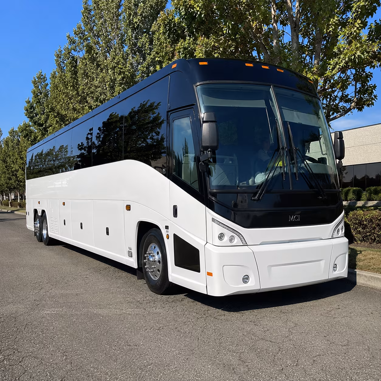 temple 50 passenger charter bus